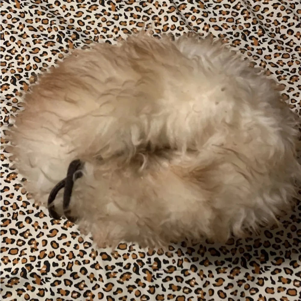 Vintage 1960s Muff Hollywood Glam Hand Warmer Oh So Cute! - Picture 3 of 3